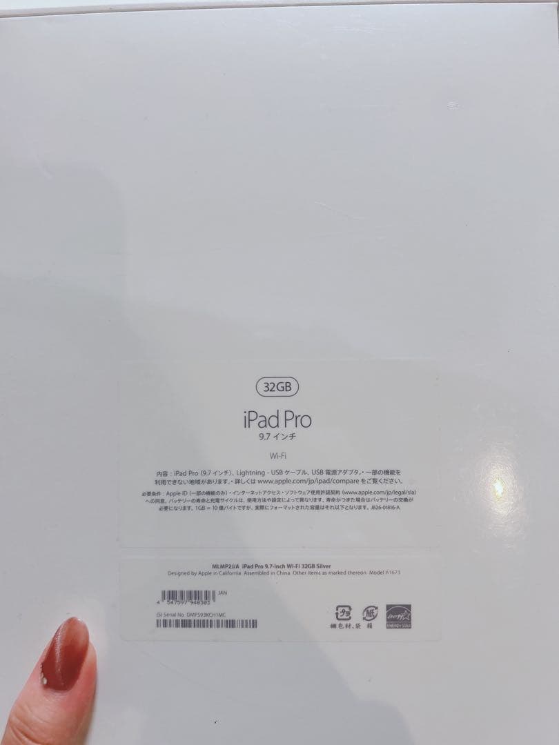 iPad本体 iPad Pro (32GB)