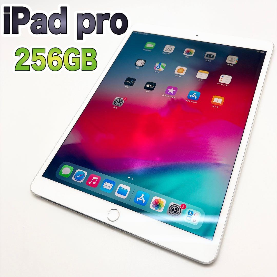 ✨即日発送✨ iPad Pro 10.5インチ Wi-Fiモデル256GB