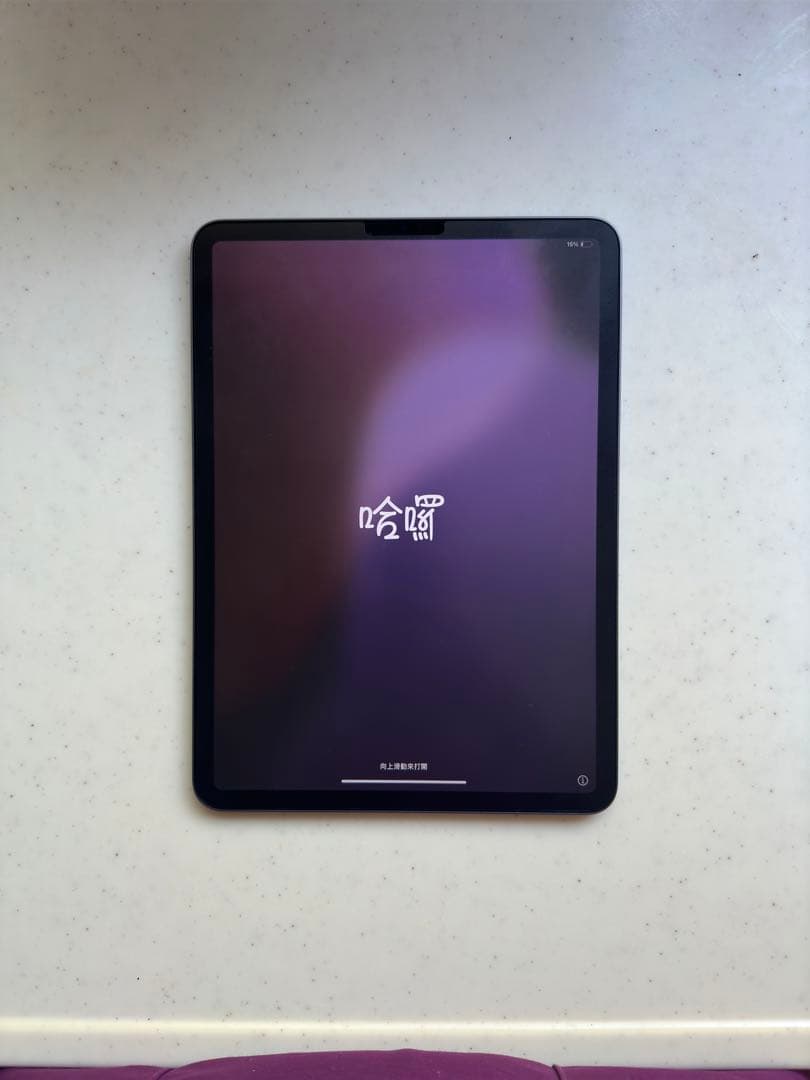 iPad Pro 11 第1世代+ApplePencil 第2世代