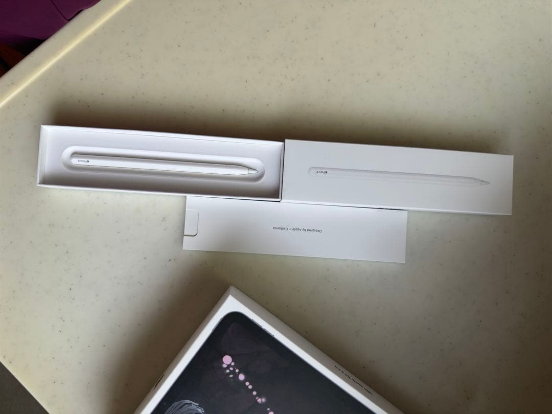 iPad Pro 11 第1世代+ApplePencil 第2世代