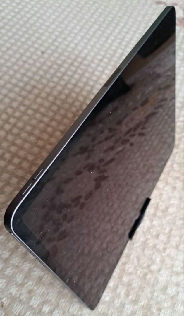 iPad Pro 第5世代 本体 12.9インチ