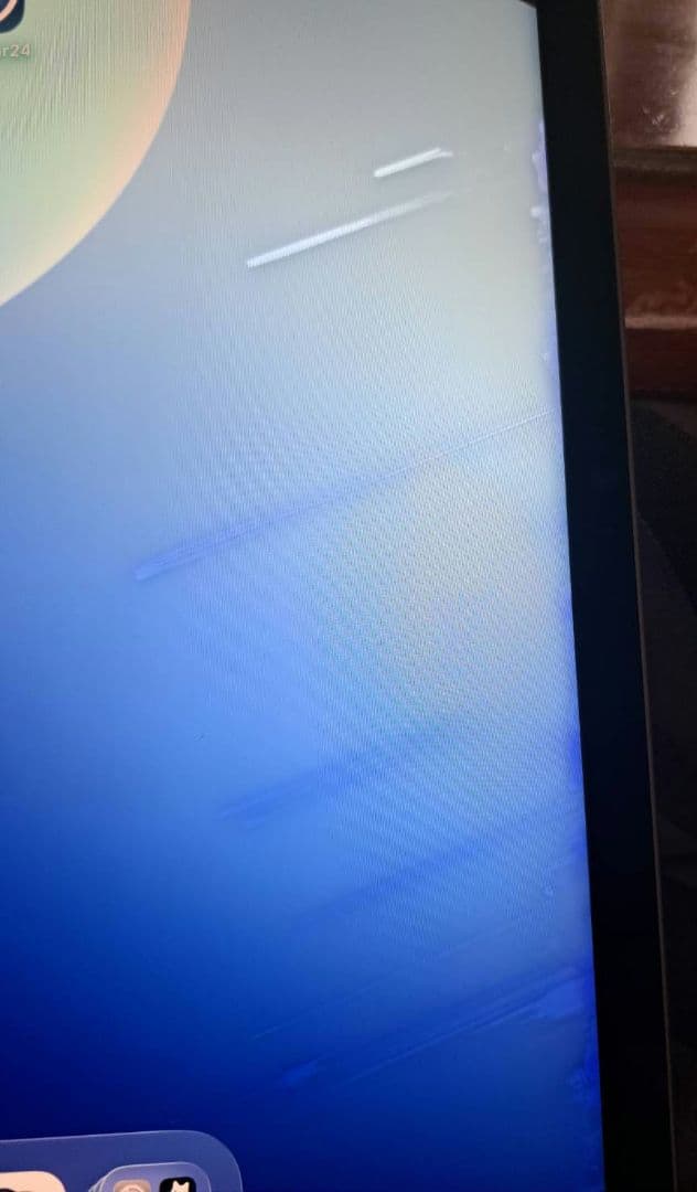 iPad Pro 第5世代 本体 12.9インチ