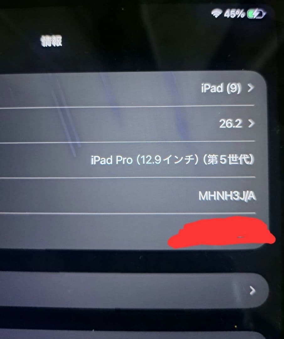 iPad Pro 第5世代 本体 12.9インチ