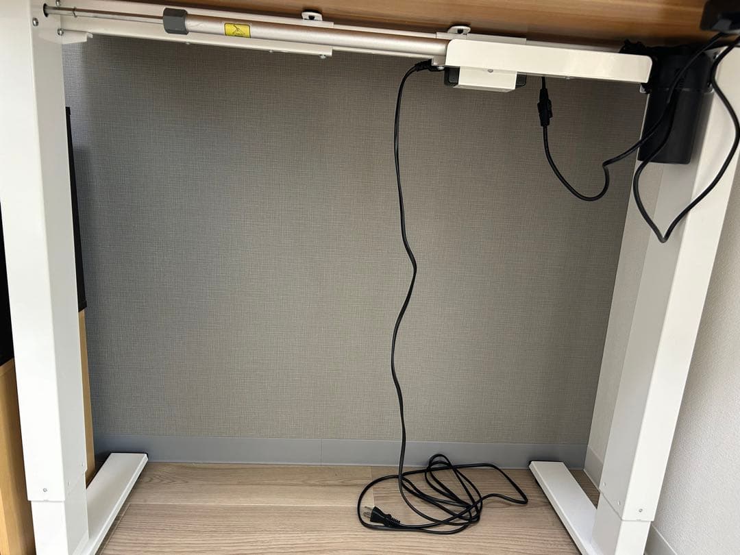 FLEXISPOT電動式スタンディングデスク100×60メモリー機能付きEF1