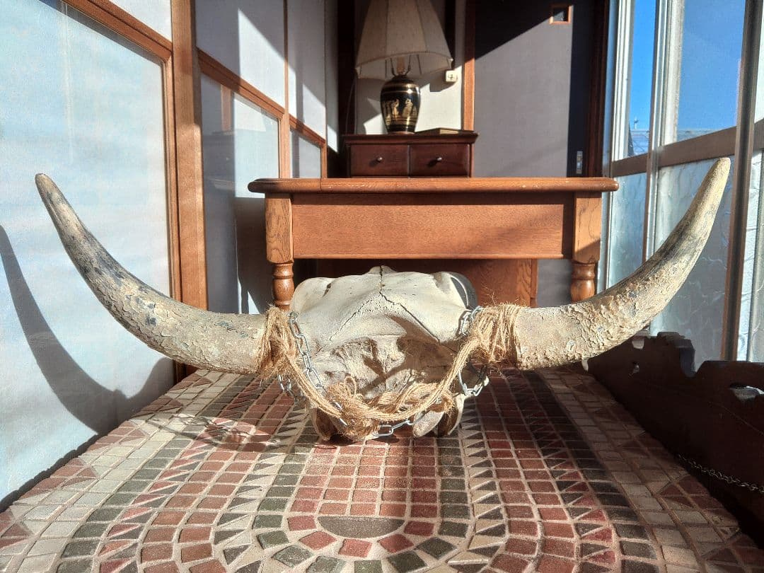 希少　スカルヘッド　バッファロー　本物　頭蓋骨　ヴィンテージ　アンティーク