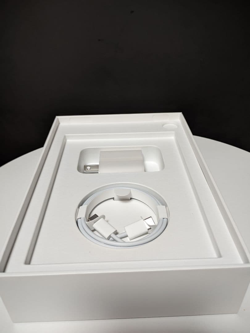 V*H様 Apple iPad mini (第6世代) 64GB スペースグレー