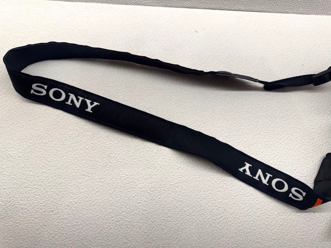 【美品】シャッター755 SONY α6400 ダブルズームレンズキット