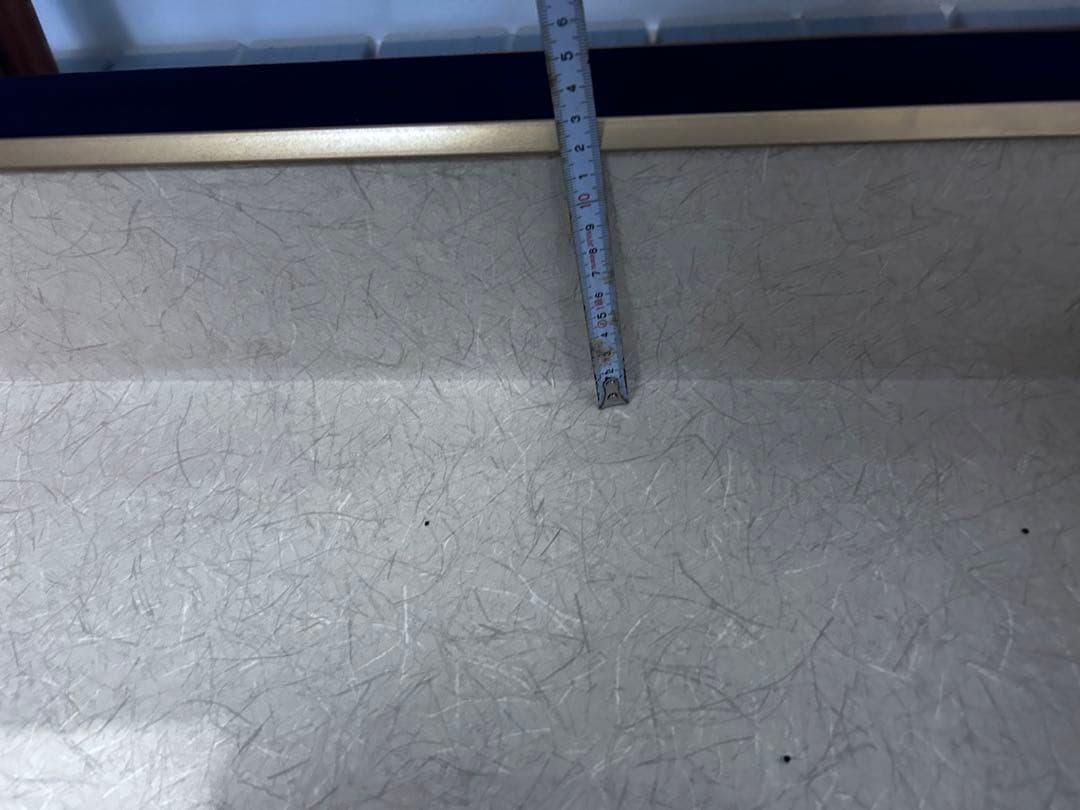 魚類剥製用の額縁　剥製　額装