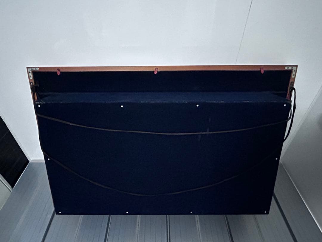 魚類剥製用の額縁　剥製　額装