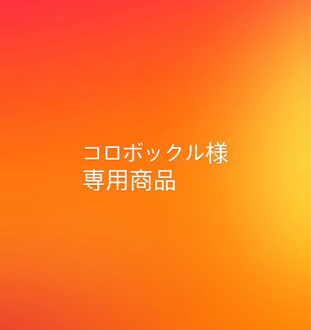 【コロボックル商品】北海道　道の駅ピンズ　シマエナガピンズ【13点セット】