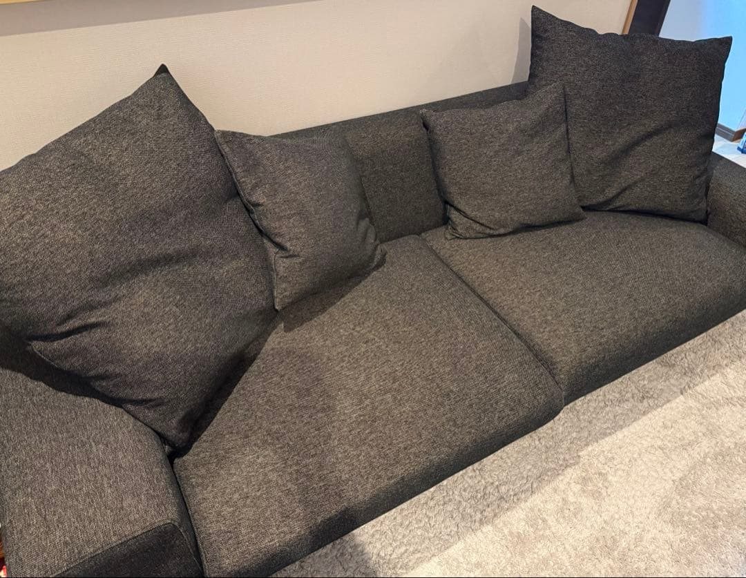 広々ローソファ　NOYES Decibel Professional 3人掛