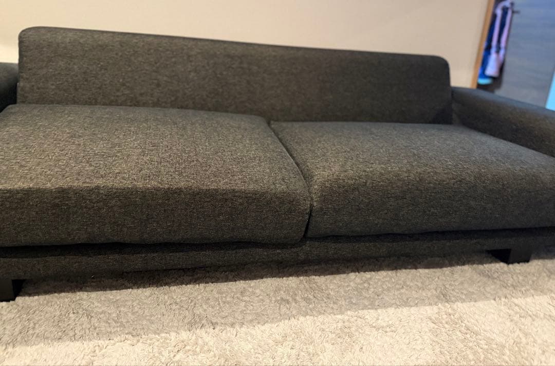 広々ローソファ　NOYES Decibel Professional 3人掛