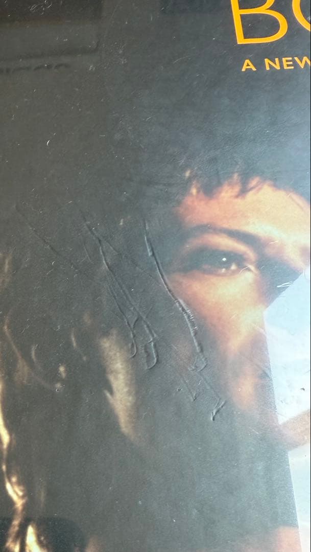 デヴィッド　ボウイ BERLIN 13xLP レコードレアボックスセット 12”