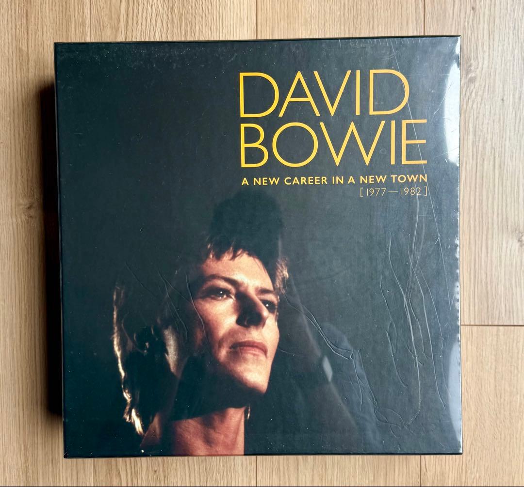 デヴィッド　ボウイ BERLIN 13xLP レコードレアボックスセット 12”