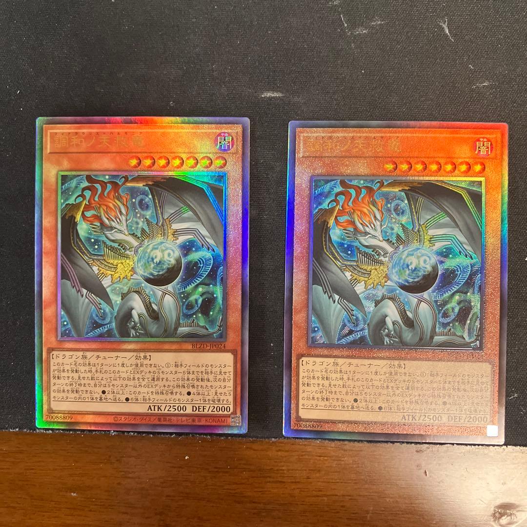 調和ノ天救竜　レリーフ2枚