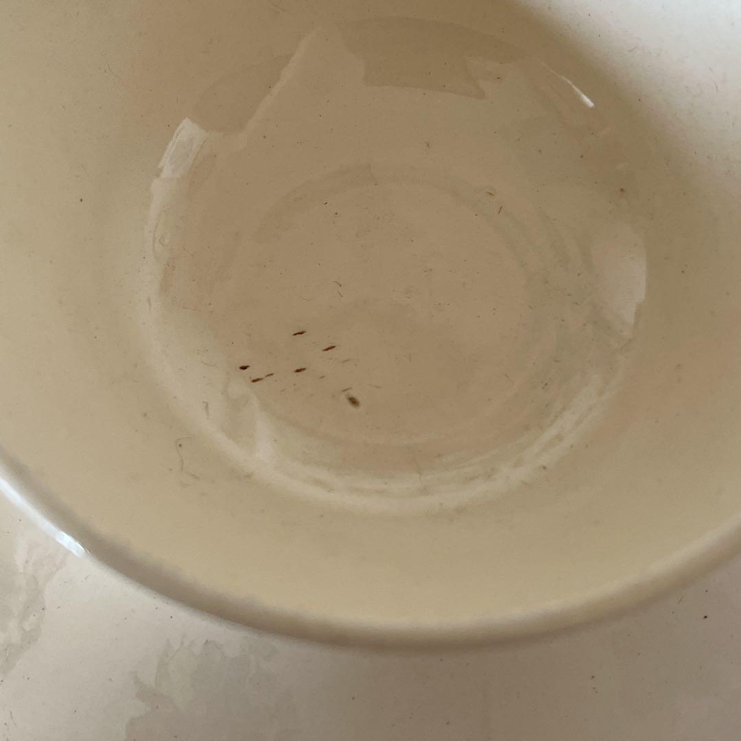 サルグミンヌ　アルザス地方　オベルネモデルのC&S