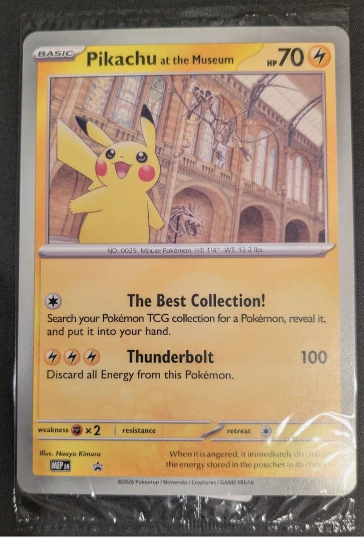 11kkさん専用未開封 Pikachu the Museum ピカチュウ