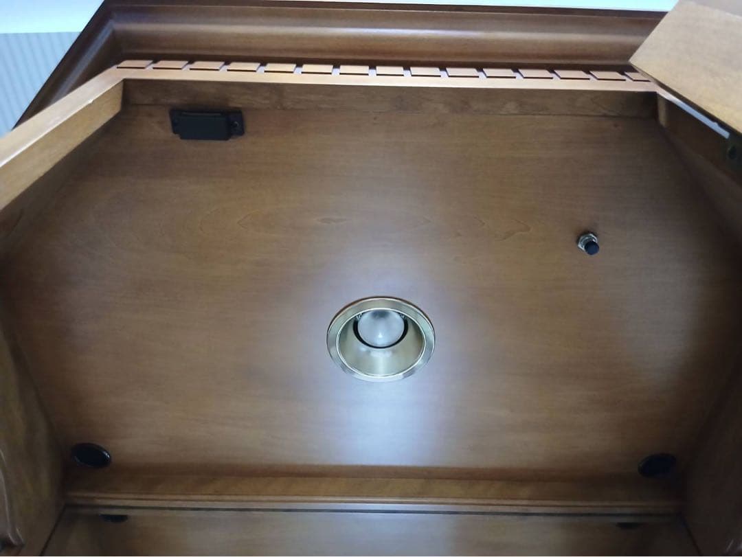 ダニエル 木製 八角形 キュリオケース ガラスケース ディスプレイケース