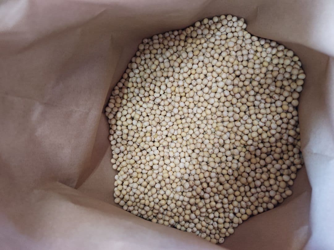 令和7年産　大豆 フクユタカ 正味13kg　愛知県産