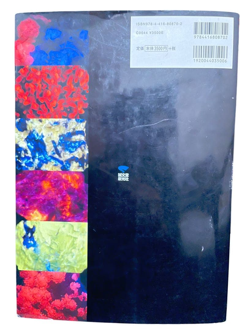 光る石ガイドブック: 蛍光鉱物の不思議な世界 (ROCK&GEMコレクション)