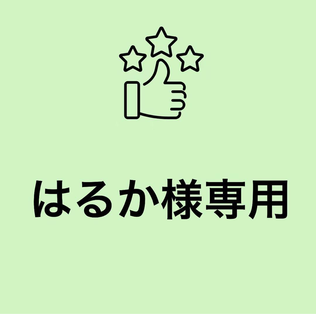 はるか様 スエードファースリッパ サイズ39