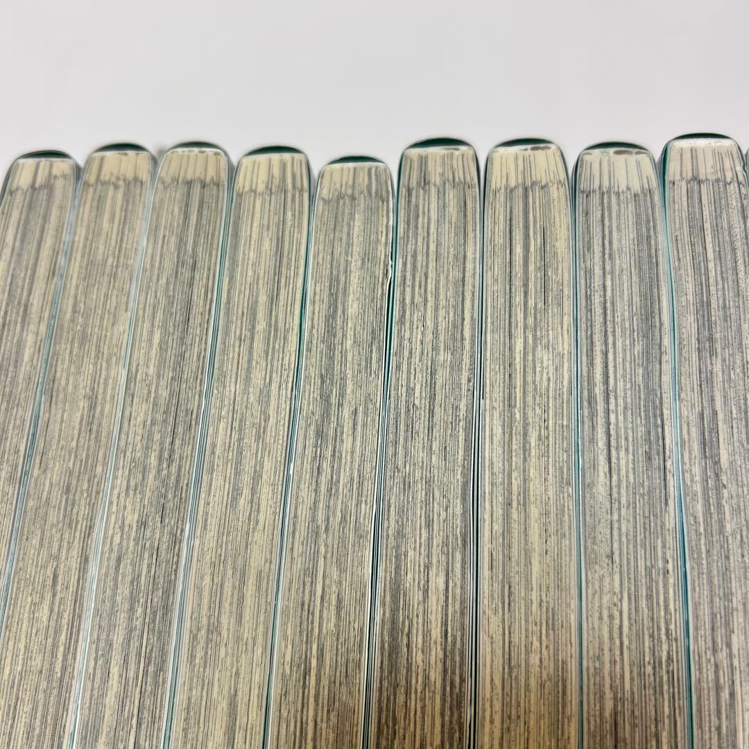 【送料込み】《19冊》転生悪女の黒歴史 1〜17巻 番外編集1〜2 冬夏アキハル