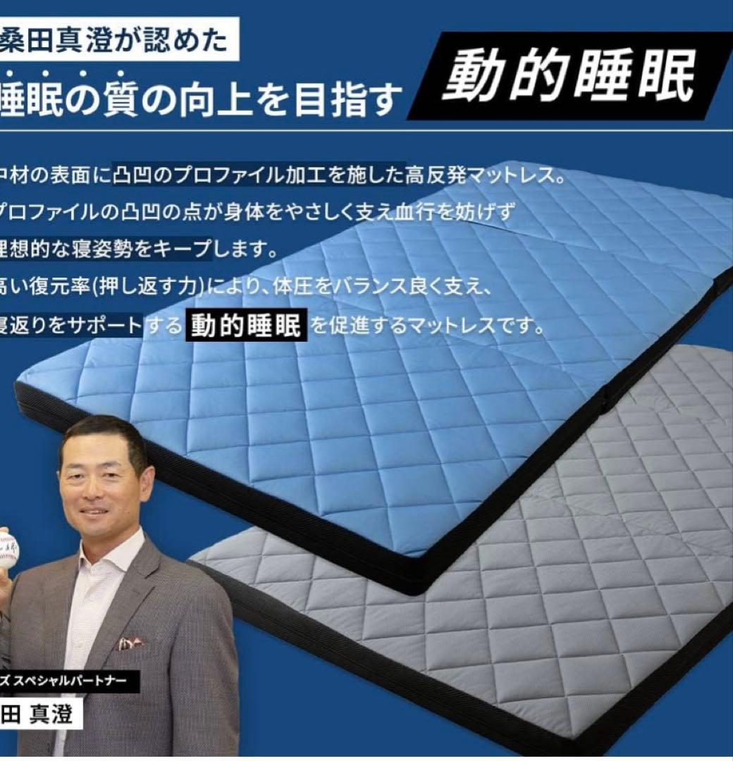 シングル高反発マットレス　RISE スリープナイスデイ　8㎝