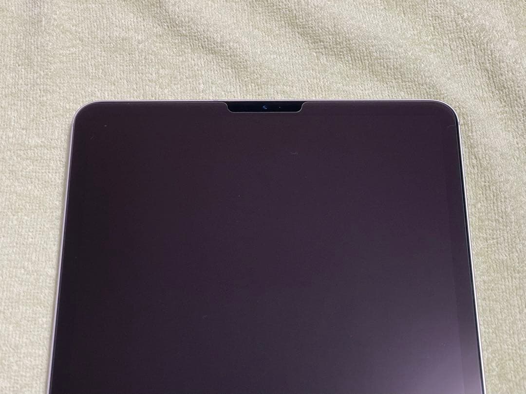 iPad Pro 11インチ(第1世代) 256GB セルラーモデル