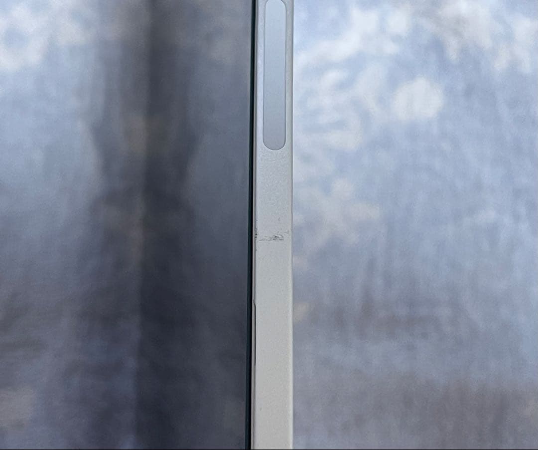 iPad Pro 11インチ(第1世代) 256GB セルラーモデル