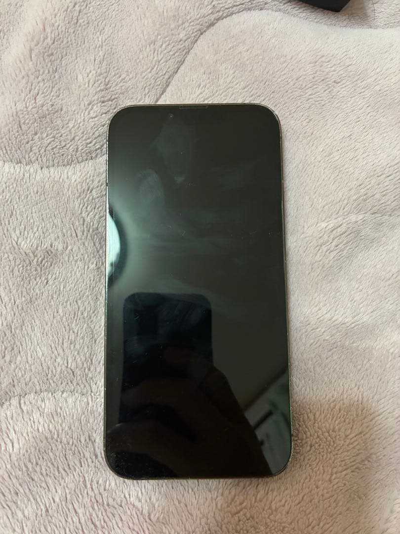 Apple iPhone 13 Pro グラファイト ジャンク品