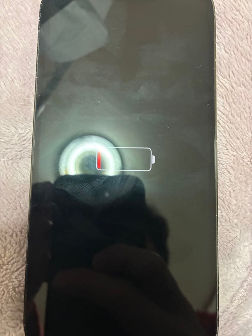 Apple iPhone 13 Pro グラファイト ジャンク品