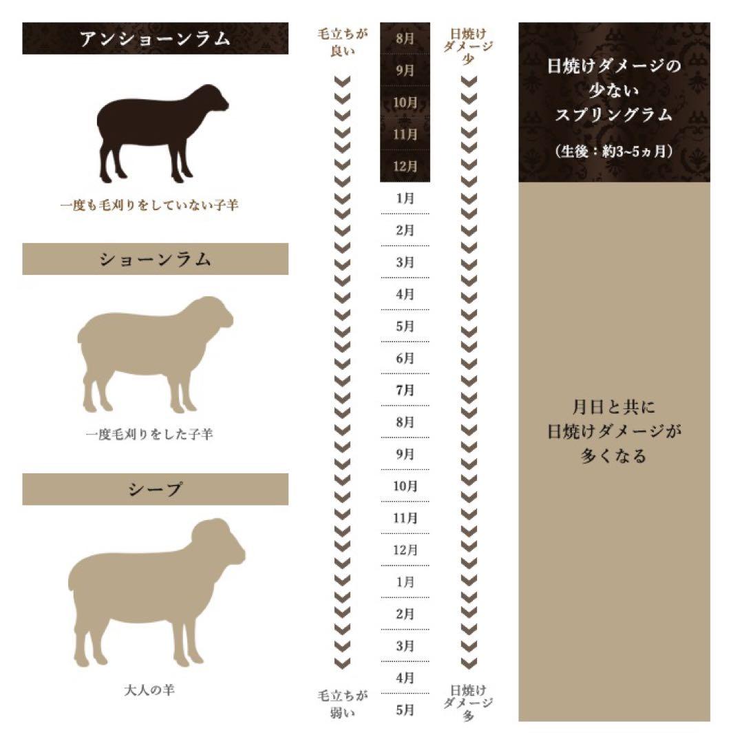 東洋羽毛ムートン敷きパット　アリエス40