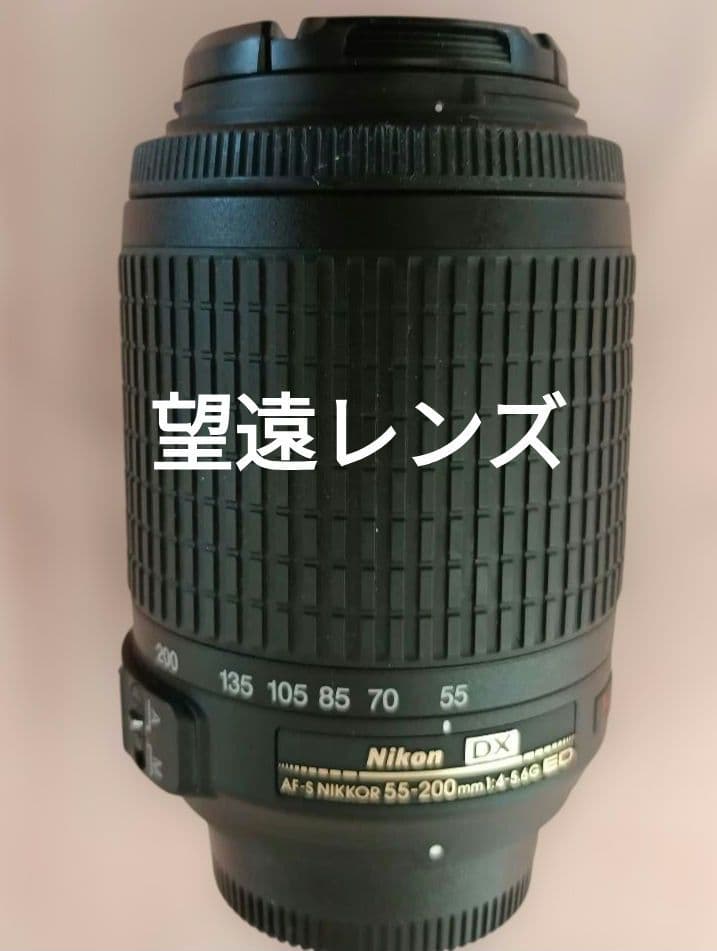 期間限定値引中　日曜日までNikon D5000　一眼レフ入門に最適