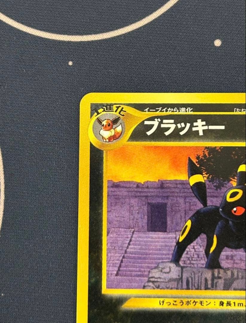 旧裏 ブラッキーNo.197