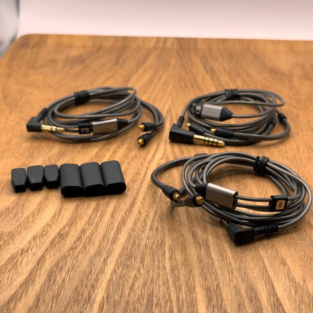 SENNHEISER IE 900 [純正品,送料込み]