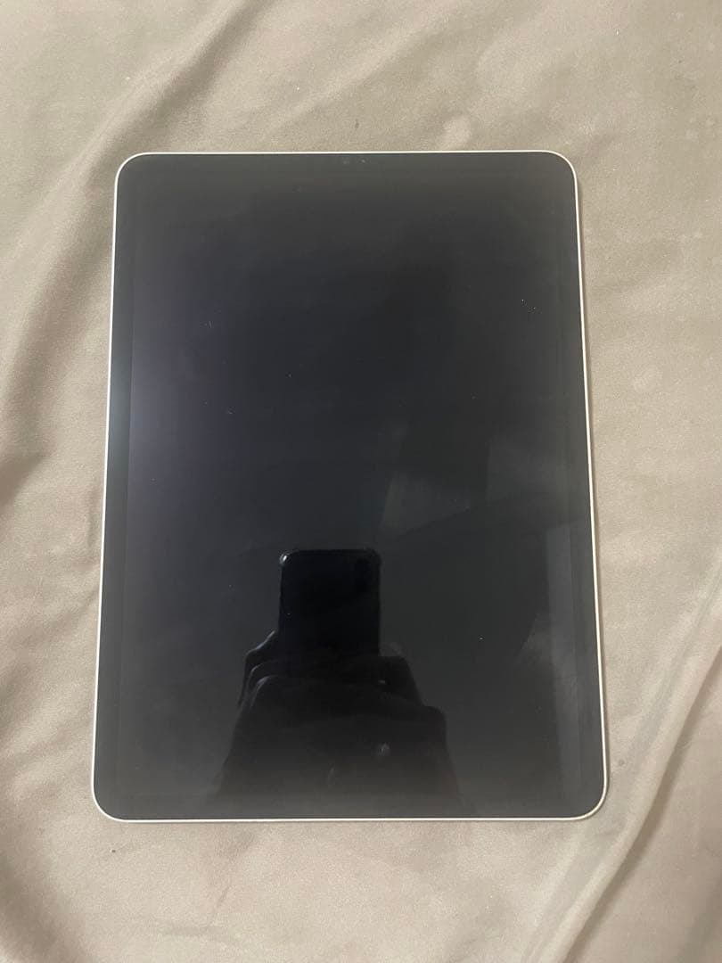 Crown！iPad Pro 11インチ 第4世代 本体 256GB