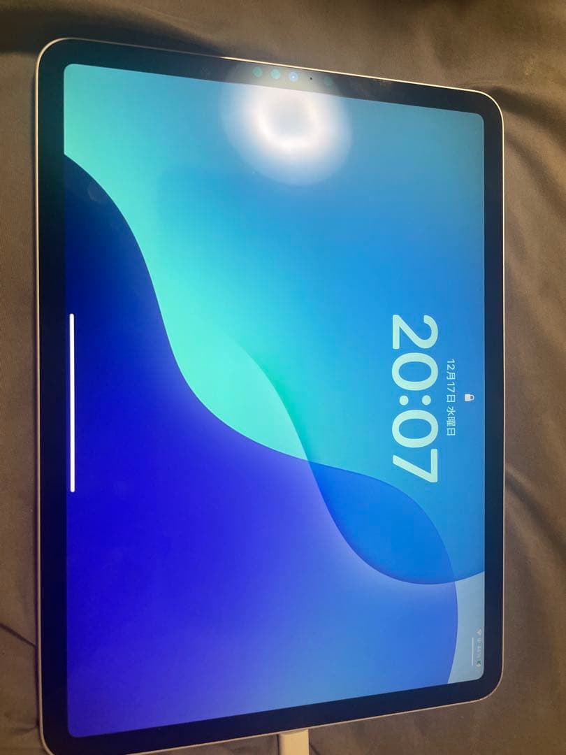 Crown！iPad Pro 11インチ 第4世代 本体 256GB