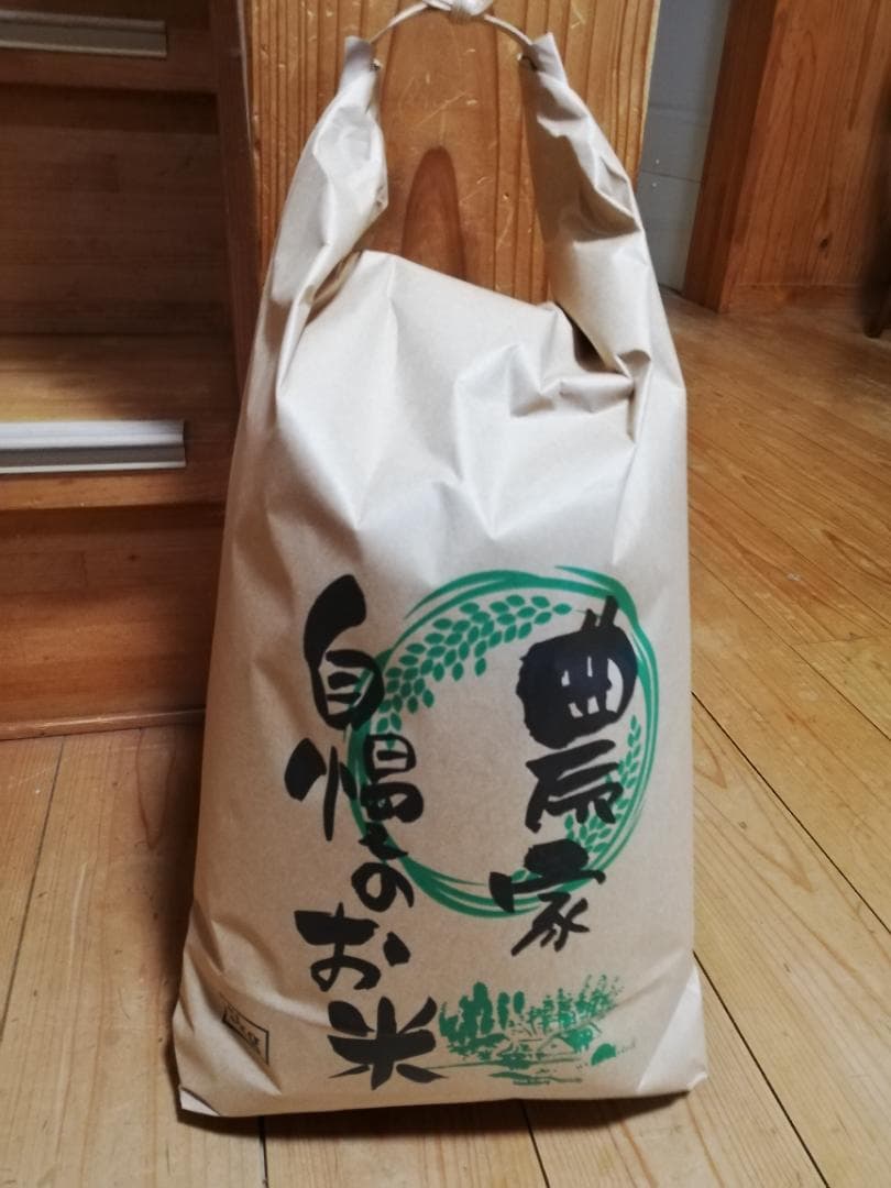 農家直送　子育て応援米　農薬不使用　9.5キロ　令和7年産　赤城産ちほみのり