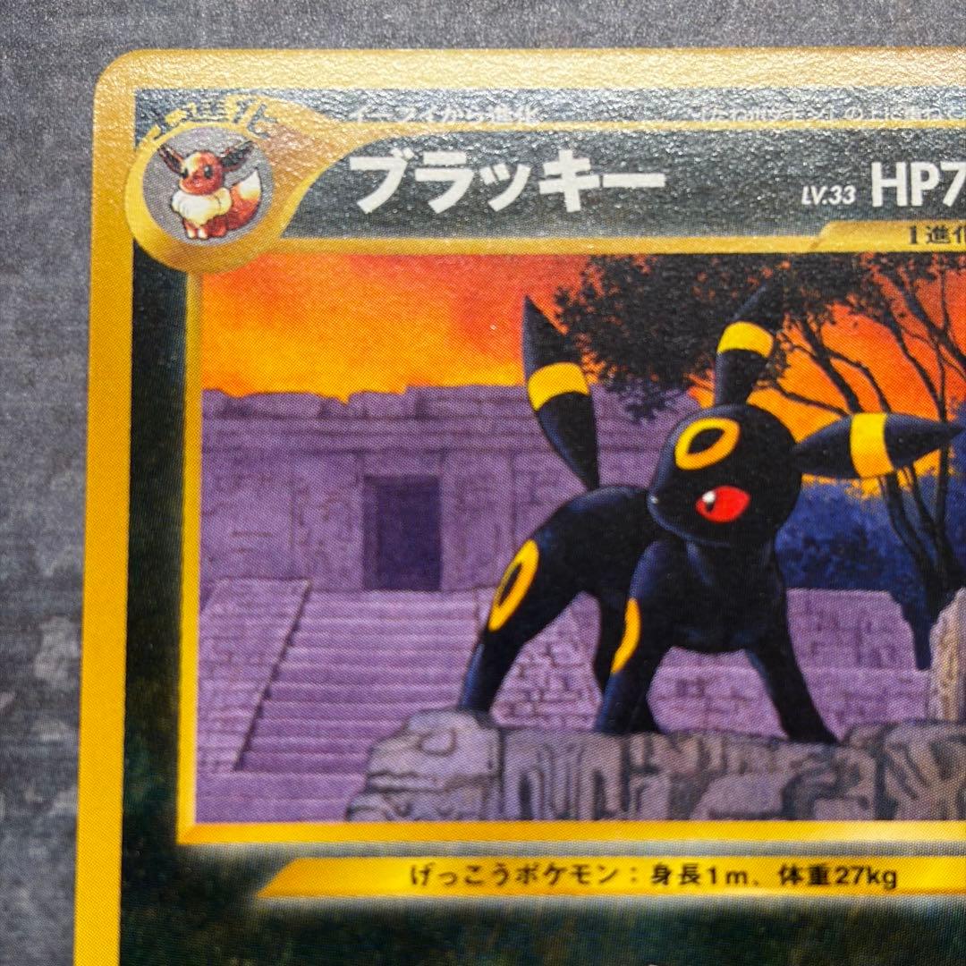 【美品】ブラッキー プレミアムファイル2 PROMO 第2世代　ポケカ