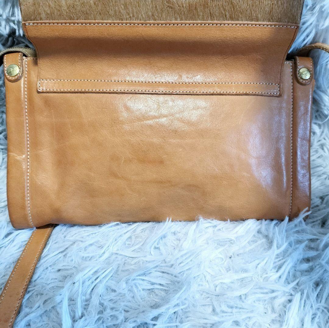 IL BISONTE レア ショルダーバッグ