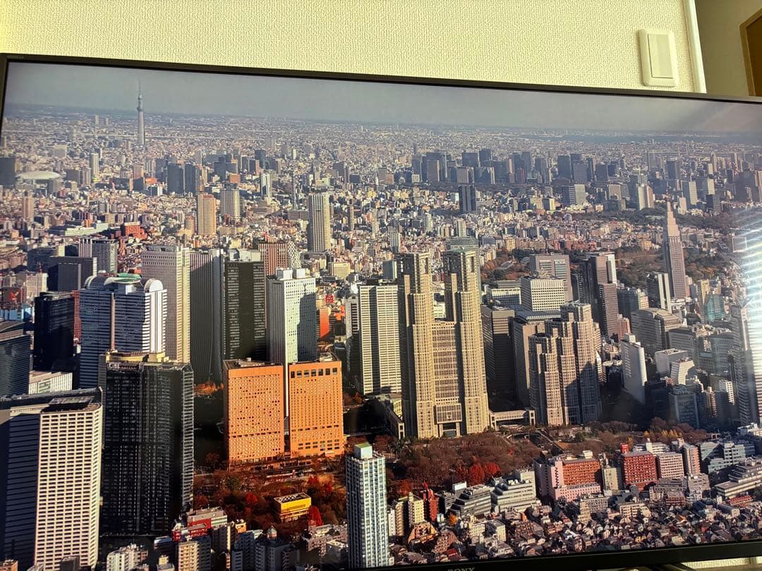 SONY 49インチ 4K液晶テレビ KJ-49X8500G