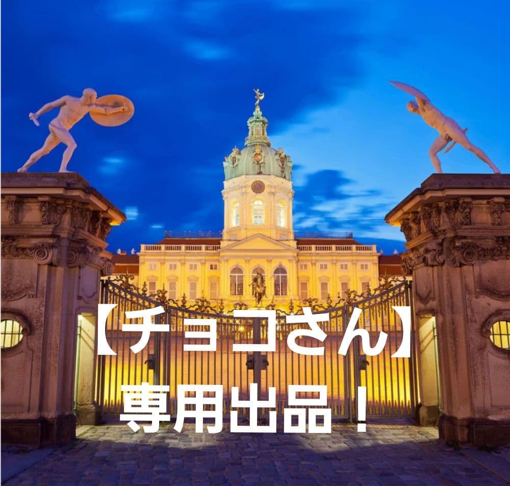 【チョコさん】専用❕❕