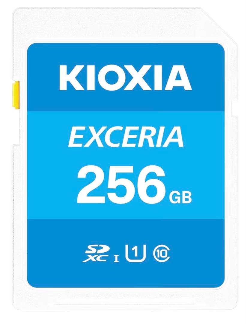 【256GB SDカード付】パナソニック LUMIX DC-TZ99-K