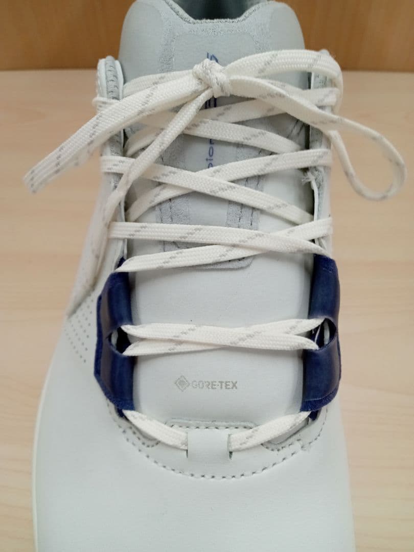 ECCO GOLF メンズ ゴルフシューズ 41サイズ