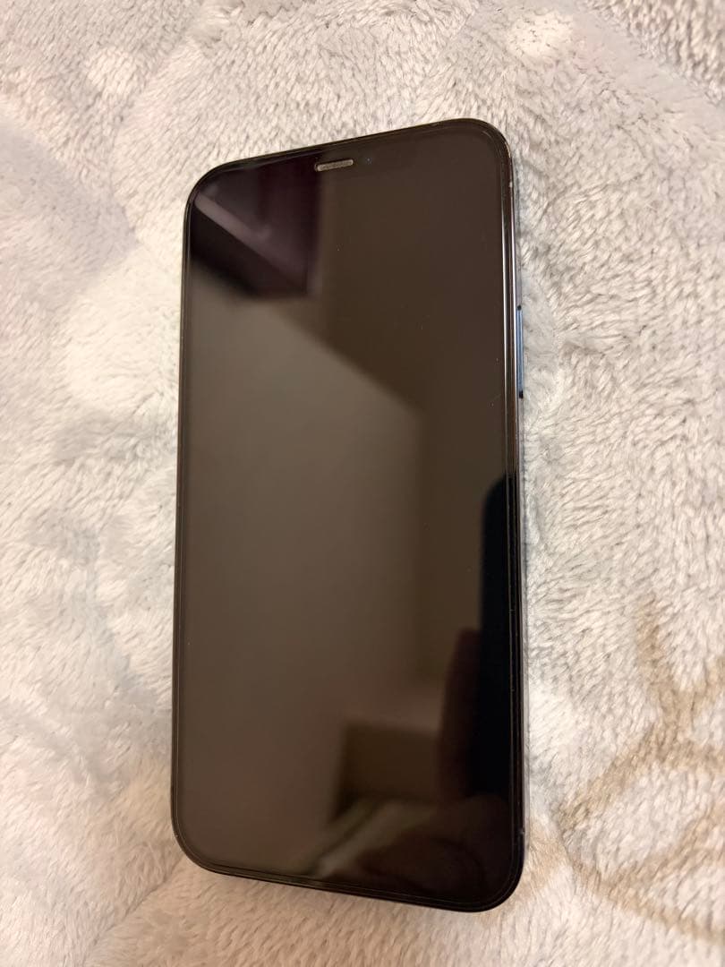 iPhone 12 Pro 256GBパシフィックブルーおまけ付き