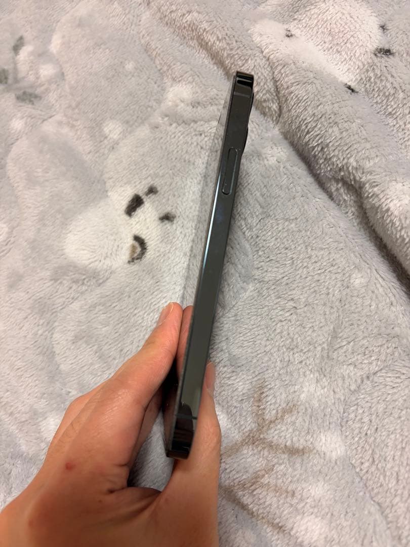 iPhone 12 Pro 256GBパシフィックブルーおまけ付き