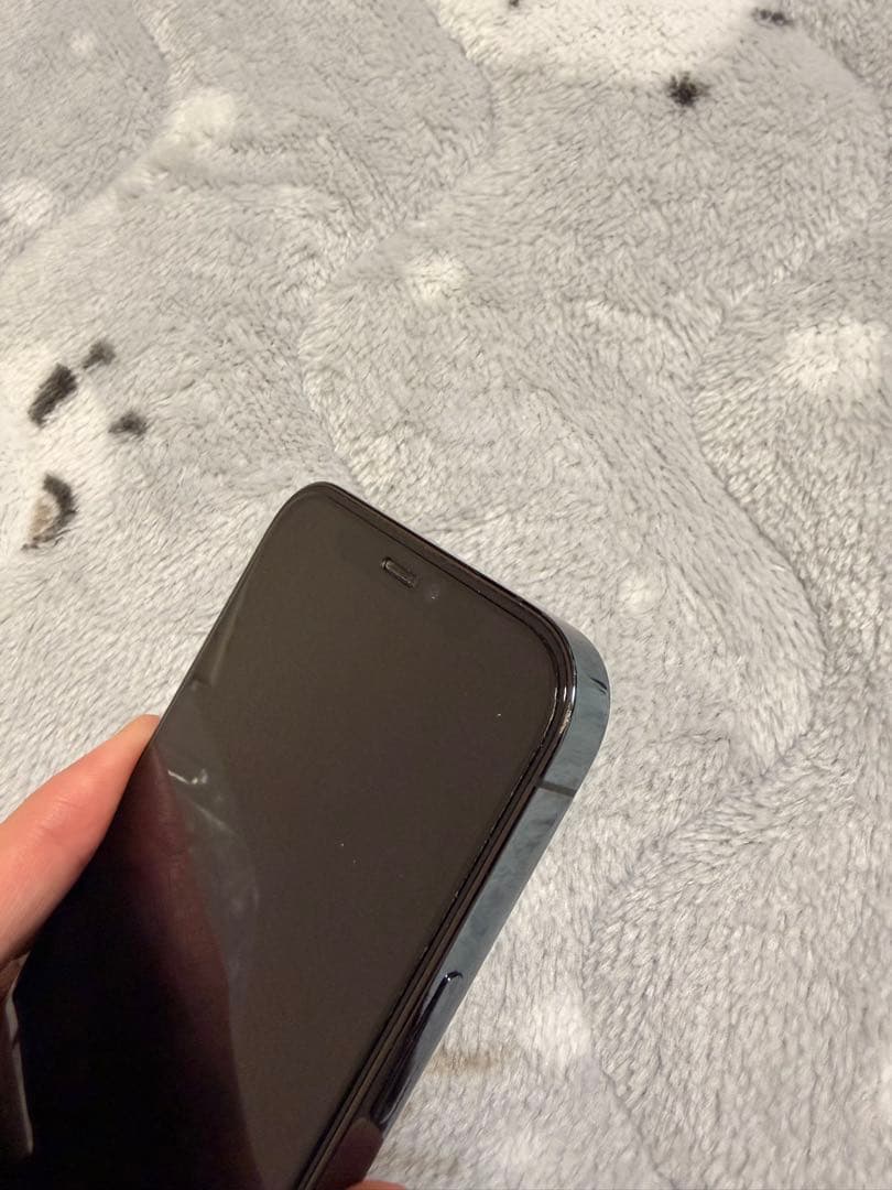 iPhone 12 Pro 256GBパシフィックブルーおまけ付き