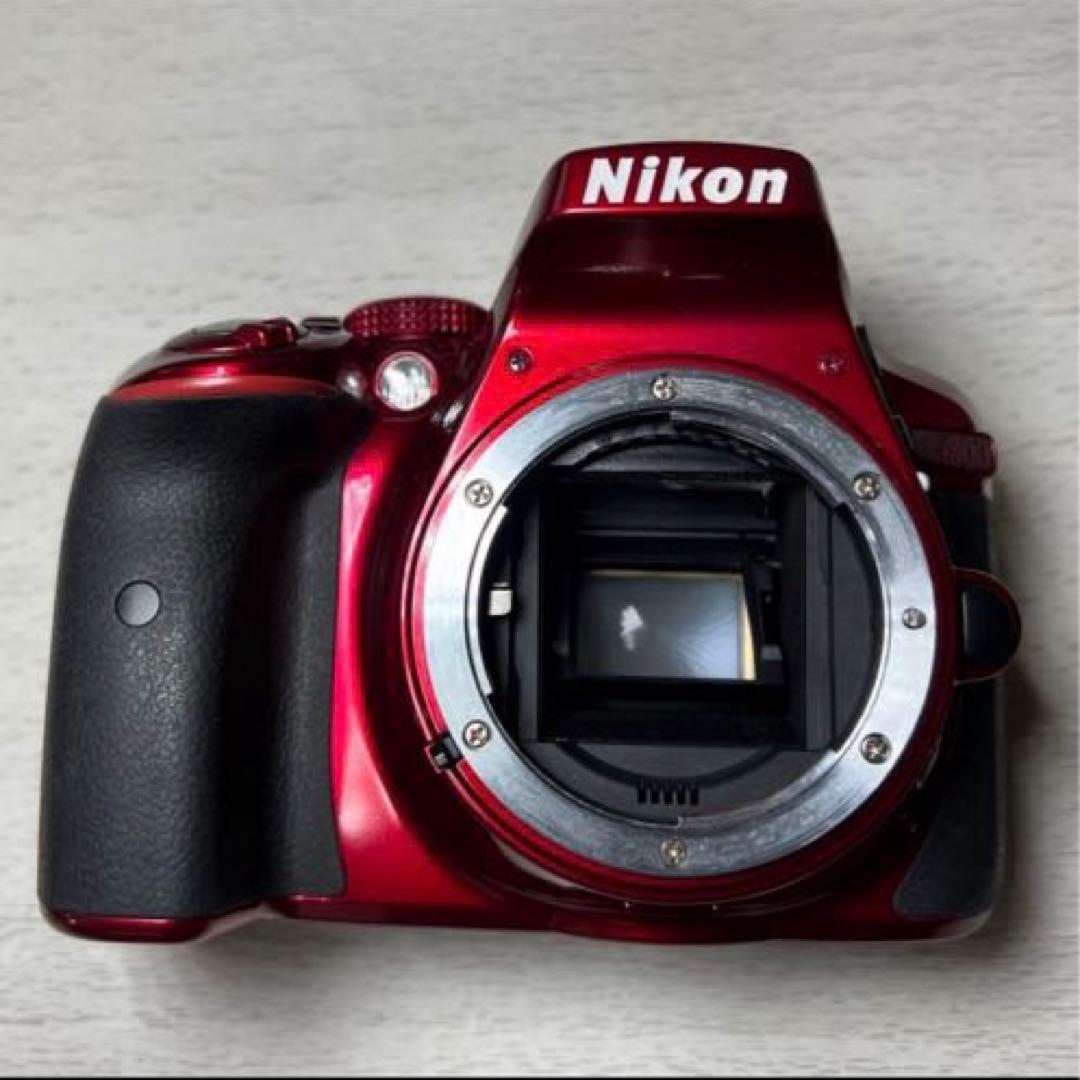 美品 Nikon 一眼レフカメラ D5300 オマケ多数 シャッター数14025