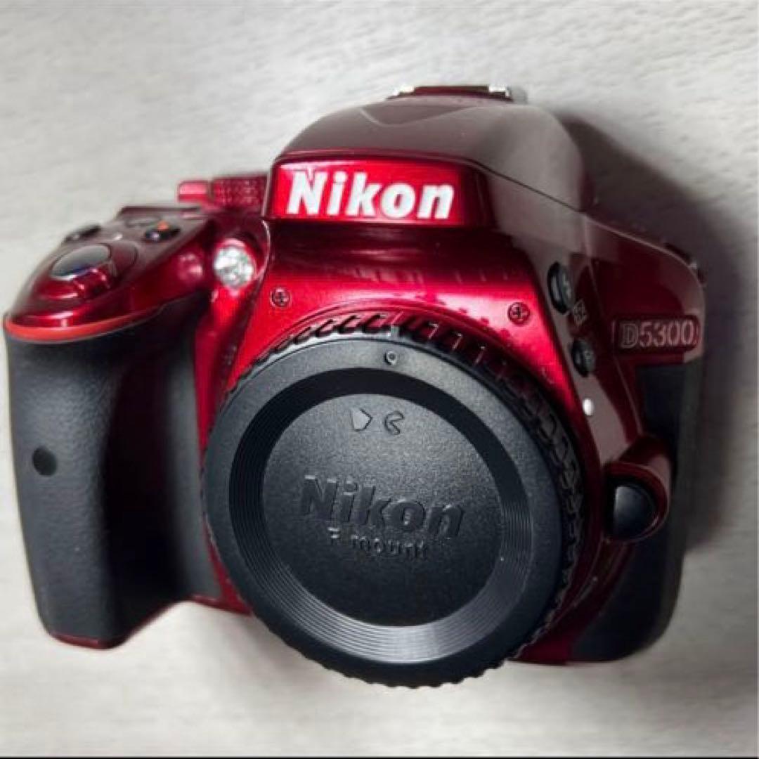美品 Nikon 一眼レフカメラ D5300 オマケ多数 シャッター数14025