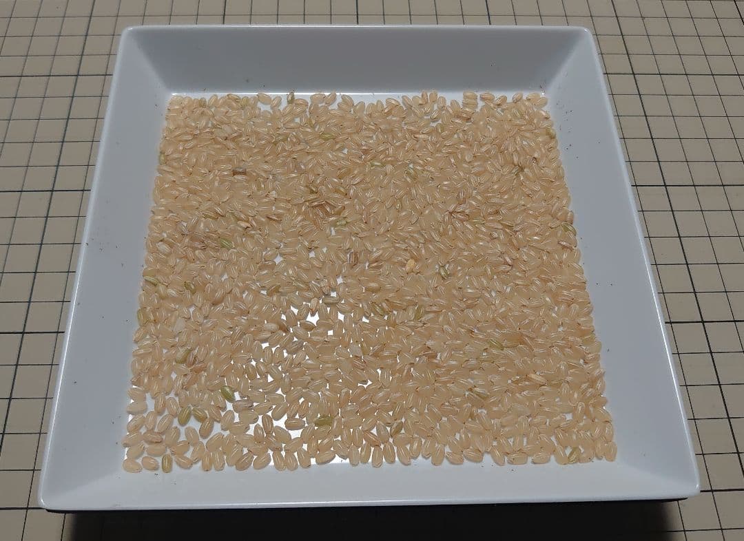 令和7年度 埼玉県産⭐にこまる⭐玄米29キロ 送料無料